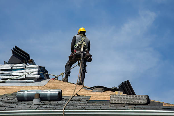 Professional Roof Replacement technician working in Chadwick, IL